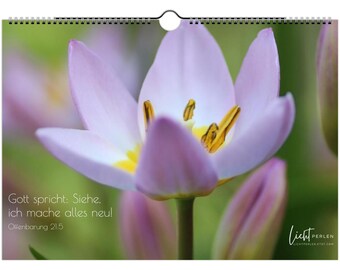 Timeless wall calendar "Everything new" - Christian hanging calendar with Bible verses, gift, encouragement, annual motto