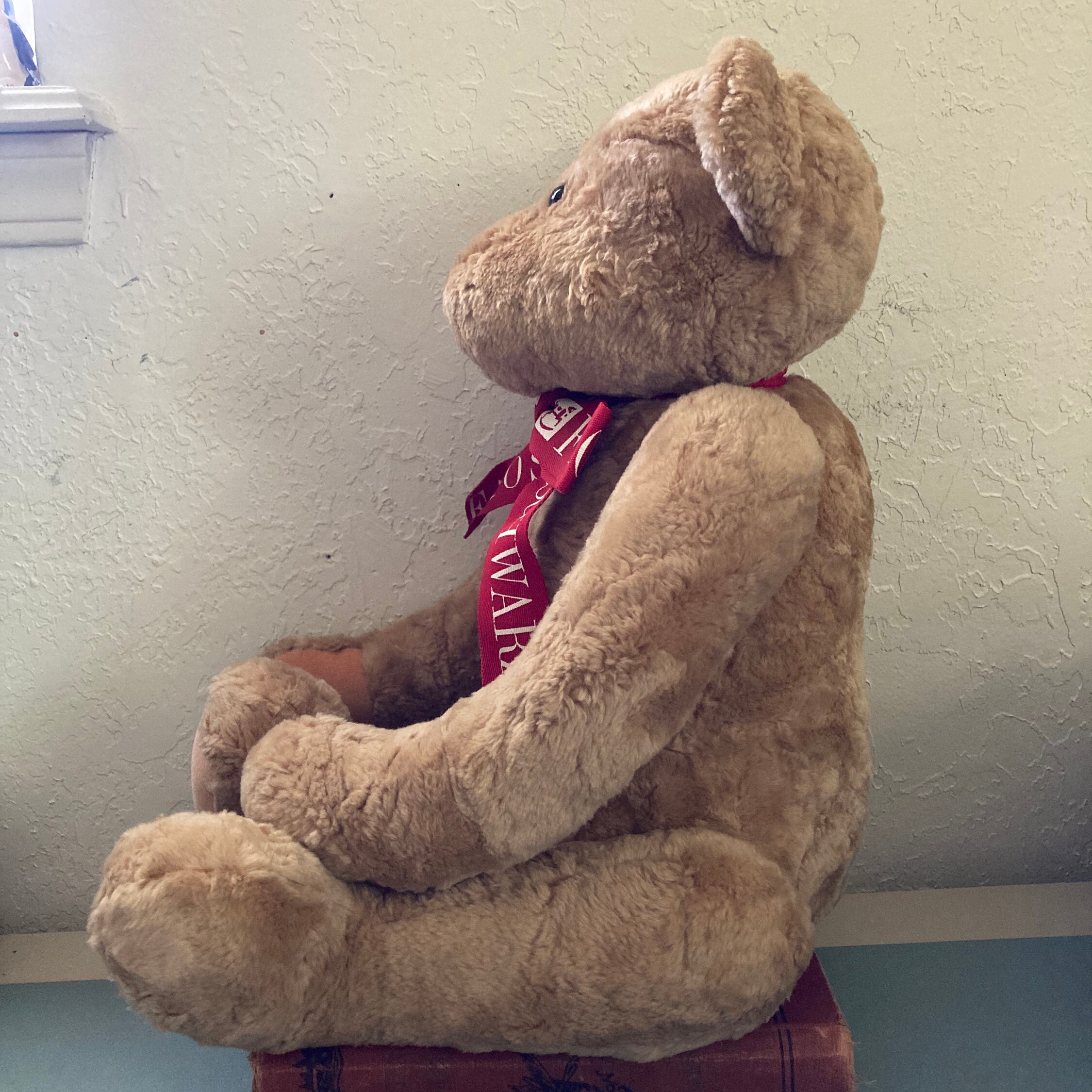 Beautiful Vintage FAO Schwarz Articulated Teddy Bear Etsy