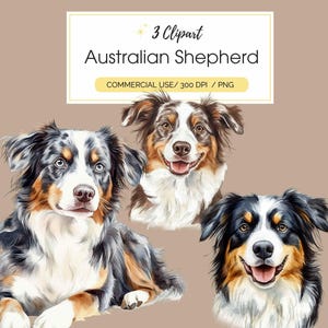 May include: Three digital illustrations of Australian Shepherd dogs. The dogs are all different colours and have different expressions. The first dog is a blue merle with a white chest and paws. The second dog is a red merle with a white chest and paws. The third dog is a black and tan with a white chest and paws.