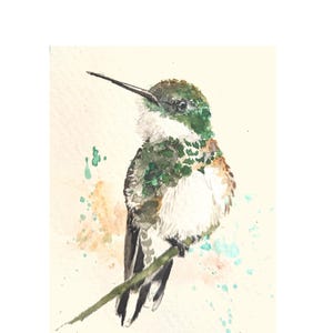 Dipinto ad acquerello originale Sassy Rufous Hummingbird ACEO - Mini opera d'arte con uccelli 2,5x3,5, ispirata alla natura, fauna selvatica del bosco