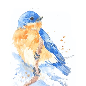 Dipinto ad acquerello originale ACEO di uccello azzurro orientale - Mini opera d'arte con uccelli 2,5x3,5, fauna selvatica da collezione, decorazione per la casa ispirata alla natura