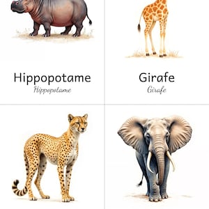 Imagier des animaux de la savane