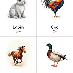 Farm Animals Picture Book