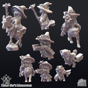 May include: A collection of detailed miniature figurines of a cat-like wizard character. The figurines are in various poses, some riding animals, holding books, and carrying flower-topped staffs. The figures are in a neutral color, with intricate details.