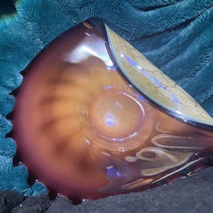 Carnival Glass Shell