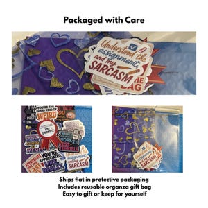 May include: A collection of stickers with humorous phrases and designs, packaged in a reusable organza gift bag. The stickers feature phrases like "Understood the assignment and my sarcasm" and "You earned it."