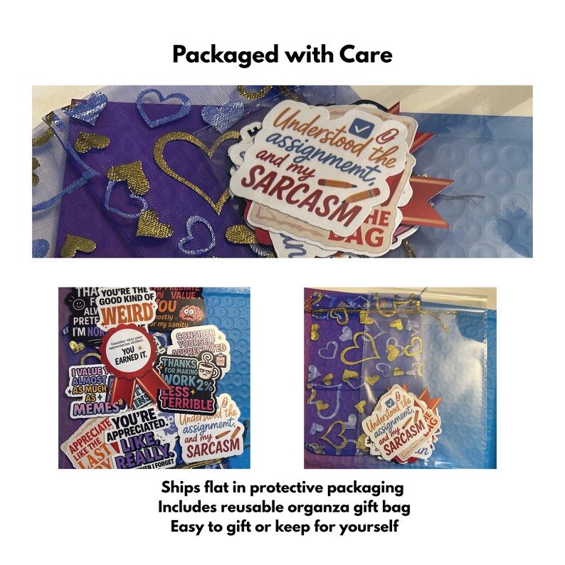 May include: A collection of stickers with humorous phrases and designs, packaged in a reusable organza gift bag. The stickers feature phrases like "Understood the assignment and my sarcasm" and "You earned it."