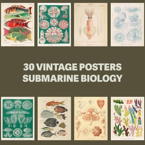 30 carteles vintage de biología subacuática (descarga digital) Pez, pulpo, océano, estilo antiguo, arte científico