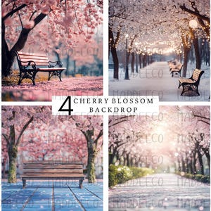 Puede incluir: Cuatro fondos digitales que presentan un cerezo en flor con un banco de madera en primer plano. Los fondos incluyen un cerezo en flor rosa con un banco, una escena nevada con un banco, un cerezo en flor rosa con un banco y un camino bordeado de cerezos en flor.