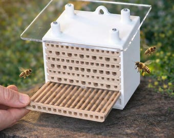 Wild bee nesting aid insect hotel - nesting block and observation nesting box, weatherproof nest for bees with acrylic glass - bee hotel