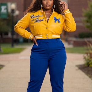 Pretty Poodle Cropped Varsity Jacket