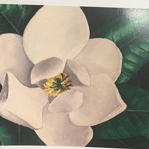 Impressão de cartão de felicitações de magnólia pintado à mão - em branco por dentro