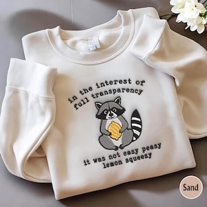 In The Insterest Of Full Transparency Embroidered Crewneck Sweatshirt, Funny Raccoon Sweatshirt, 90s Raccoon Shirt, Sarcastic Sweatshirt