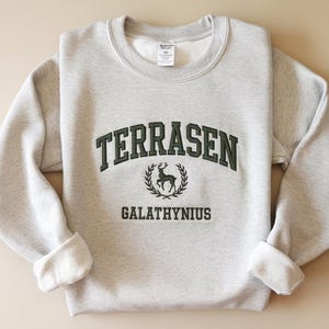 Terrasen Embroidered Sweatshirt, Terrasen Sweater, Throne of Glass Sweater, Shirt for the Rhysand Fan, ACOTAR Merch, Aelin Galathynius, TOG