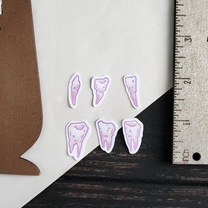 May include: Five pink and white tooth stickers with a glittery design. The stickers are on a white surface.