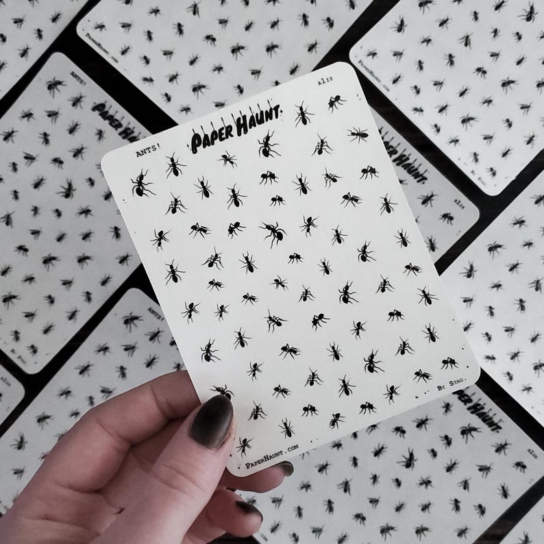 May include: A sheet of white sticker paper with black ant silhouettes printed on it. The paper has the text "Paper Haunt" and "Ants!" printed on it.