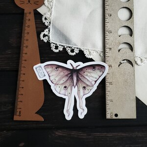 May include: A sticker of a detailed watercolor illustration of a moth with a light brown and purple color scheme. The moth has large, feathery antennae and a wingspan of approximately 5 inches.