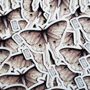 May include: A close-up of a pile of stickers featuring a detailed illustration of a moth with a light brown and beige color scheme. The moth has large, prominent eyes and a delicate, intricate wing pattern. The stickers are printed with the text "Pale Haunt" in a decorative font.