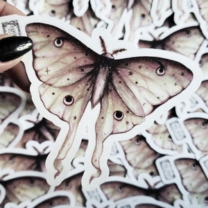 May include: A close-up of a sticker featuring a detailed illustration of a pale green and pink moth with black eyes and a white background. The moth has a delicate, ethereal appearance and is surrounded by other stickers.