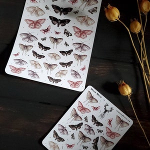 Moon moth gothic sticker sheet.