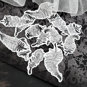 Fern STICKER Pack - Etsy
