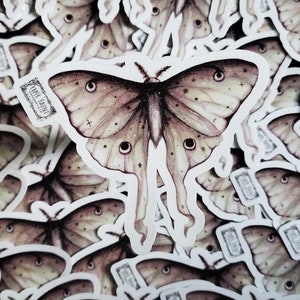 May include: A close-up of a stack of stickers featuring a detailed illustration of a pale green and brown moth with a starry pattern. The moth has large, round eyes and a delicate, intricate design. The stickers are printed with the text "Pale Haunt" in a vintage font.