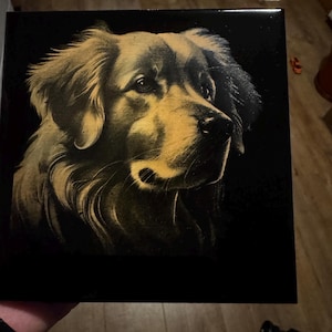 May include: A close-up of a golden retriever dog's head and shoulders, against a black background. The dog's fur is a light gold colour, and its eyes are brown. The dog is looking to the right, and its mouth is slightly open.