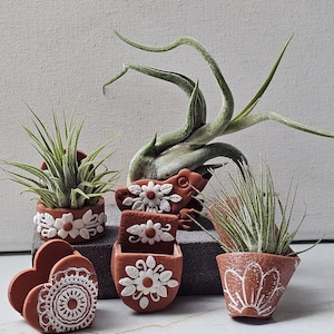 May include: A collection of small terracotta planters and holders featuring white floral and geometric relief patterns. Several planters contain spiky green air plants. The items are arranged in a group, showcasing various shapes including heart, square, and round designs with intricate white painted or molded details.
