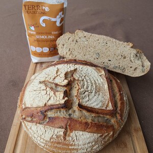 May include: A loaf of sourdough bread with a crispy crust and a golden brown color. The bread is sitting on a wooden cutting board. A bag of organic ancient grain timilia semolina whole durum wheat flour is in the background.