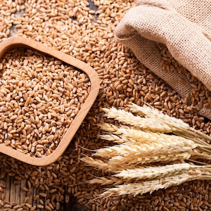 Céréales anciennes, petits fruits, blé italien, pâte à pizza, farine Cuisson artisanale, farine de spécialité, céréales, levain, panification, farine sicilienne biologique