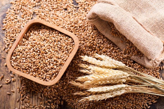 Ancient Grain Berries Italian Wheat Pizza Dough Flour Artisanal Baking Grain Specialty Flour Sourdough Bread Making Flour Organic Sicilian