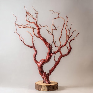 May include: A reddish-brown, gnarled manzanita branch sculpture with intricate, twisting limbs and a smooth, polished texture. The organic, tree-like structure is securely mounted onto a circular, light-colored natural wood slice base.
