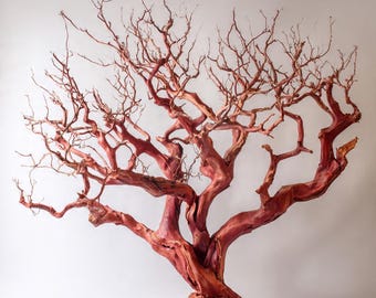 6 Centerpieces Manzanita Statement Decor | Live-Edge Wood Base 12in