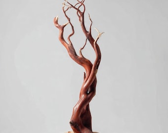 6 Centerpiece Sculptures Wildcrafted Manzanita Statement | Live-Edge Wood Base, Heritage Collection 10in