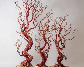 6 Wildcrafted Sculptures Manzanita Statement Centerpiece | Live-Edge Wood Base, Heritage Collection 18in