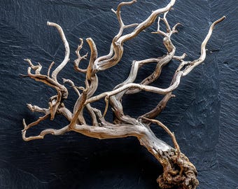 3 Ghostwood Branches | Manzanita Driftwood | Natural Pet Supply | Shipping incl.