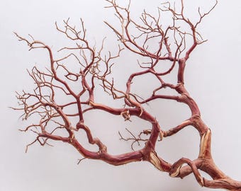 6 DIY Manzanita Branches 18” | Wedding Decor | Natural Rustic Centerpieces | Bulk Floral Ships Free