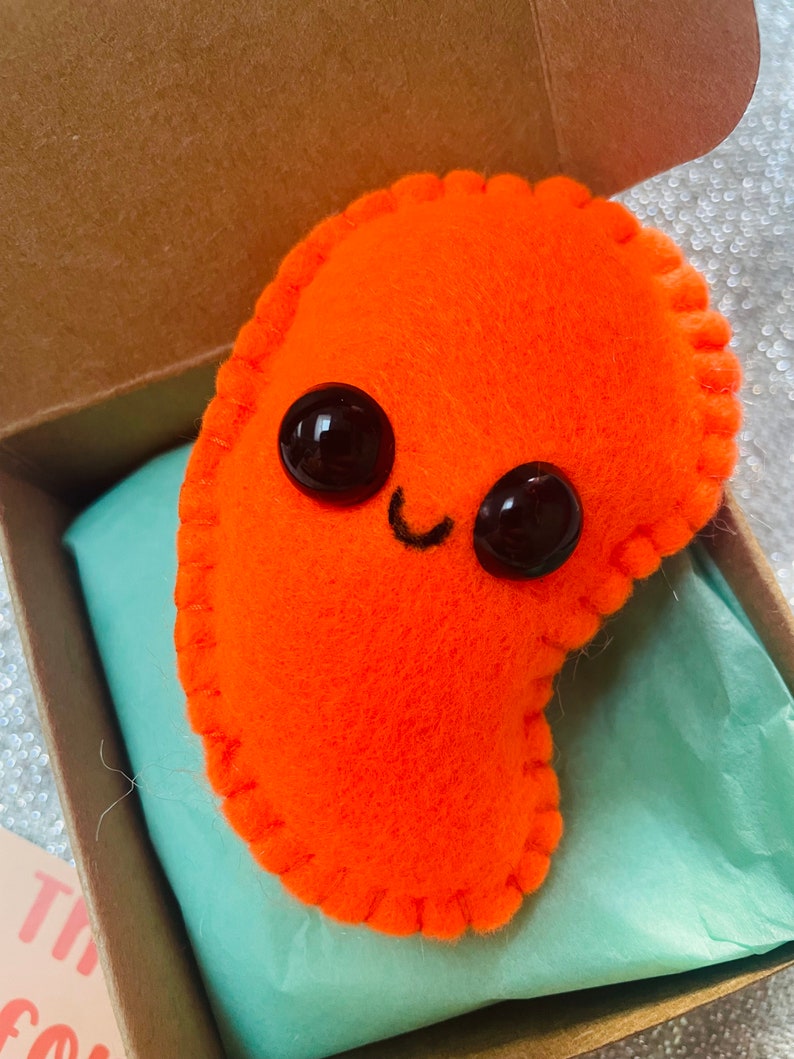 Mini plush Bean, Baked Bean gift, kawaii letterbox gift, personalised gift, Hug in a box, Cute little bean, Baked Bean in a box, Pocket hug immagine 9