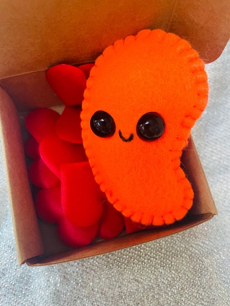 Mini plush Bean, Baked Bean gift, kawaii letterbox gift, personalised gift, Hug in a box, Cute little bean, Baked Bean in a box, Pocket hug image 5