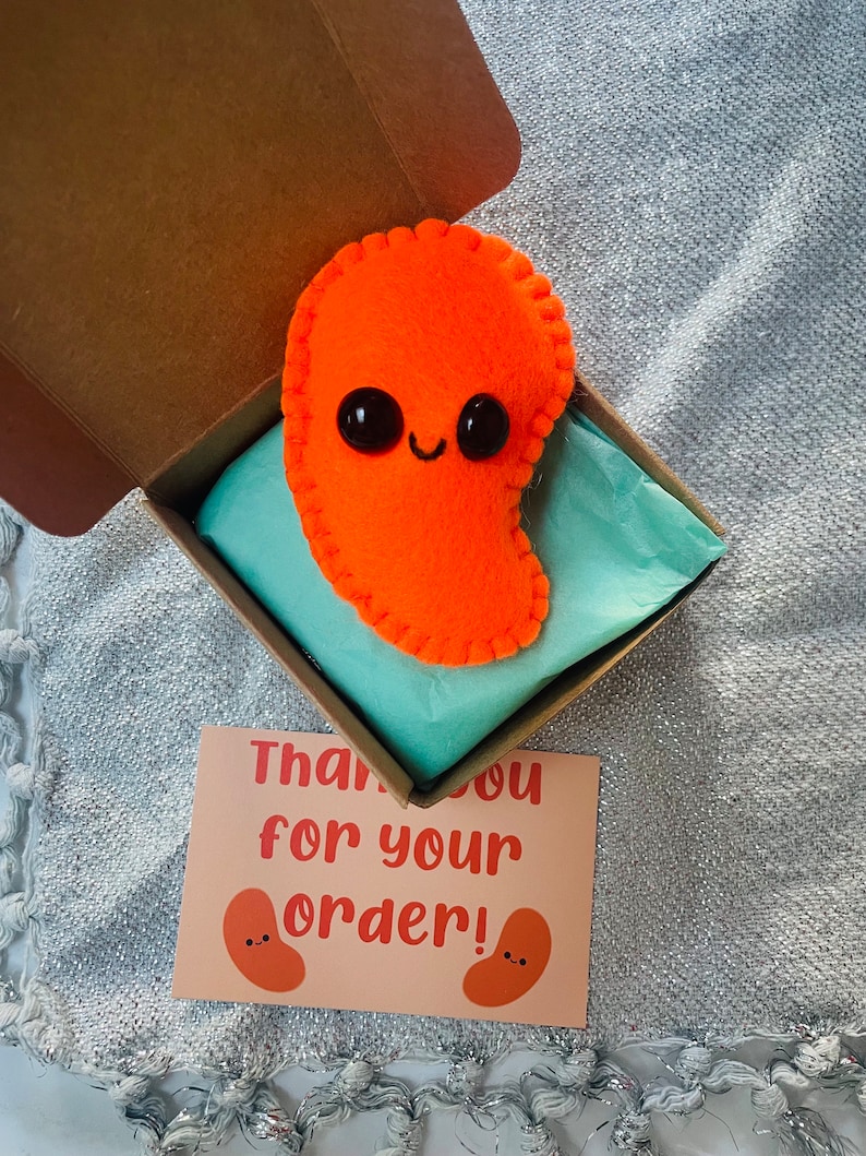 Mini plush Bean, Baked Bean gift, kawaii letterbox gift, personalised gift, Hug in a box, Cute little bean, Baked Bean in a box, Pocket hug image 8