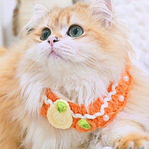 Pet outfit-Handmade Crochet Pet Collar-Cat Costume-Cat Small Dogs Kitten Necklace Scarf-Cat Accessory-Gift for Cat&Dog lover-Cat Accessories