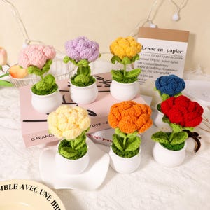 以下が含まれることがあります： 白い鉢に入った、7つの編み物でできた花の飾り。花はピンク、紫、黄色、オレンジ、赤、青など、さまざまな色です。