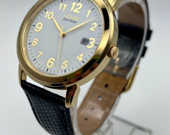 Vintage 2005 Mens Citizen Eco-Drive E111-S022894 Watch