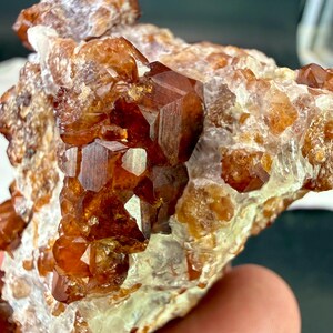 Può includere: Un esemplare minerale grezzo caratterizzato da grappoli di strutture cristalline color ambra intenso e marrone rossastro incastonate in una matrice pallida, traslucida e strutturata. I cristalli presentano sfaccettature geometriche nitide.