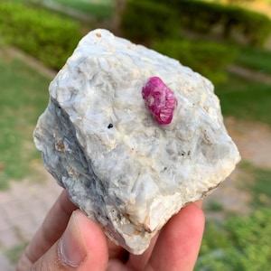 Puede incluir: Un espécimen mineral en bruto y sin pulir que presenta un gran cristal de rubí de color rosa magenta vibrante incrustado en una roca matriz texturizada de color gris claro y blanco. La piedra tiene una superficie rugosa con inclusiones negras.