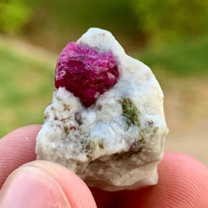May include: A raw mineral specimen featuring a vibrant, deep magenta-red crystal embedded within a textured, off-white matrix. The stone displays a natural, irregular shape with visible crystalline facets and small patches of green mineral inclusions.