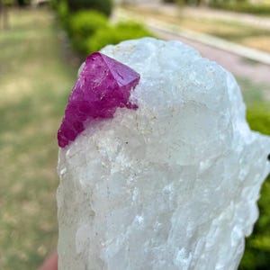 Può includere: Un gruppo di cristalli di quarzo bianco traslucido grezzo caratterizzato da una singola, prominente punta di cristallo color magenta intenso incastonata vicino al bordo superiore. Il campione presenta una consistenza irregolare.