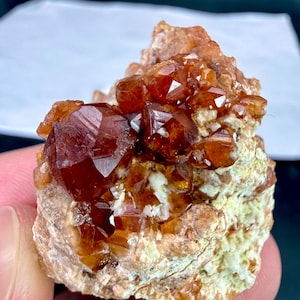 May include: A raw mineral specimen featuring deep reddish-brown, translucent, faceted garnet crystals clustered together. The crystals are embedded in a light-coloured, textured, rocky matrix with visible white mineral inclusions throughout the base.