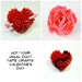 Not Your Usual Duct Tape Crafts (Valentine's Day) - PDF Booklet with Jewelry and Gifts Tutorials 