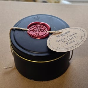 Baldur&#39;s Gate 3 inspired candle, musk and cinnamon Scented, BG3 fan gift, Astarion inspired scent.